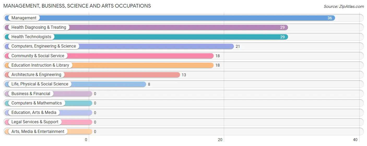 Management, Business, Science and Arts Occupations in Zip Code 23968