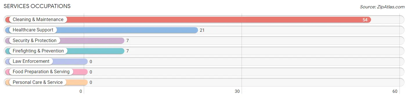 Services Occupations in Zip Code 23968