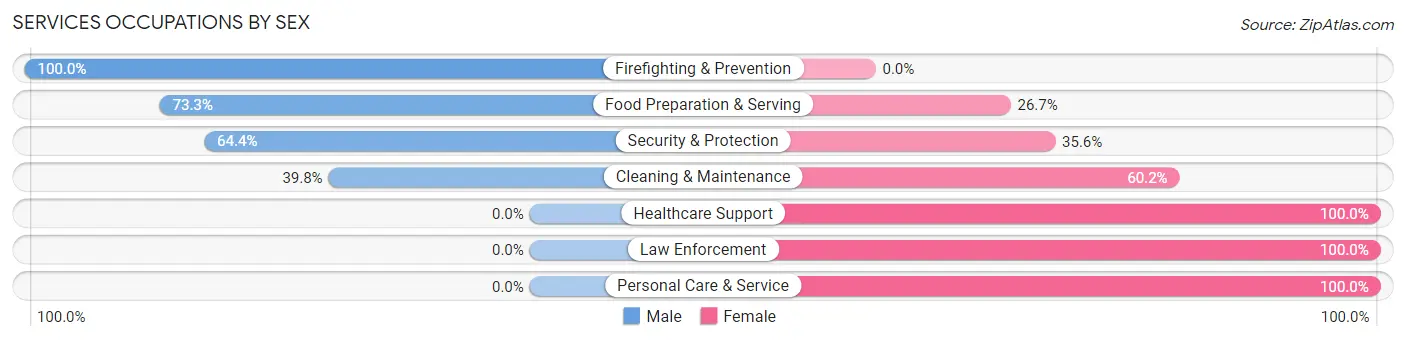 Services Occupations by Sex in Zip Code 24013