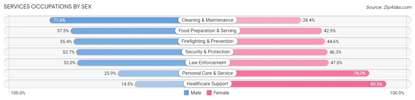 Services Occupations by Sex in Zip Code 24019