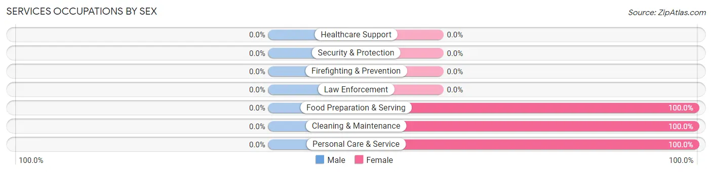 Services Occupations by Sex in Zip Code 24020