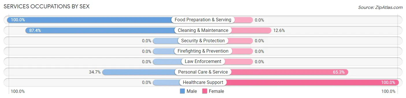 Services Occupations by Sex in Zip Code 24053