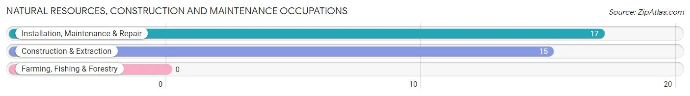 Natural Resources, Construction and Maintenance Occupations in Zip Code 24059