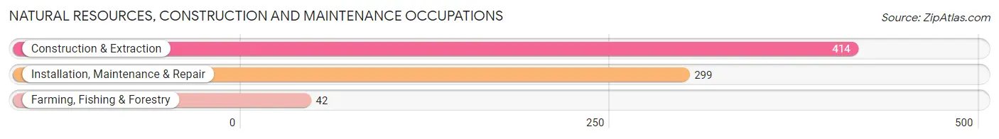 Natural Resources, Construction and Maintenance Occupations in Zip Code 24060