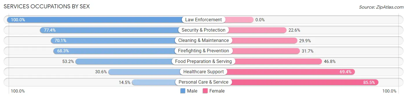 Services Occupations by Sex in Zip Code 24060