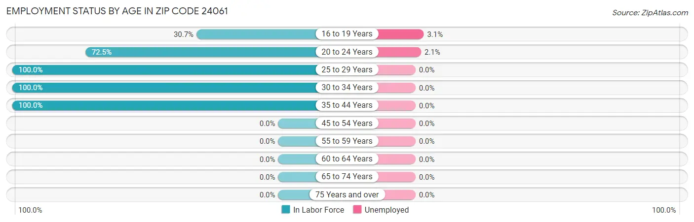 Employment Status by Age in Zip Code 24061