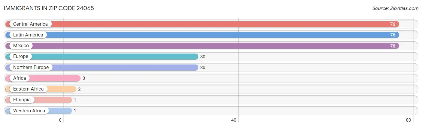 Immigrants in Zip Code 24065