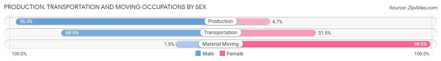 Production, Transportation and Moving Occupations by Sex in Zip Code 24065