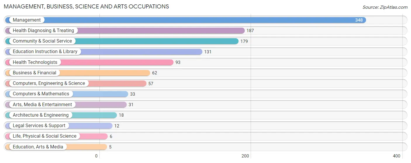 Management, Business, Science and Arts Occupations in Zip Code 24066