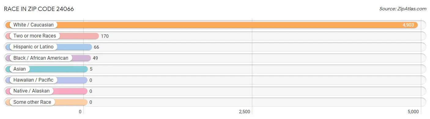Race in Zip Code 24066