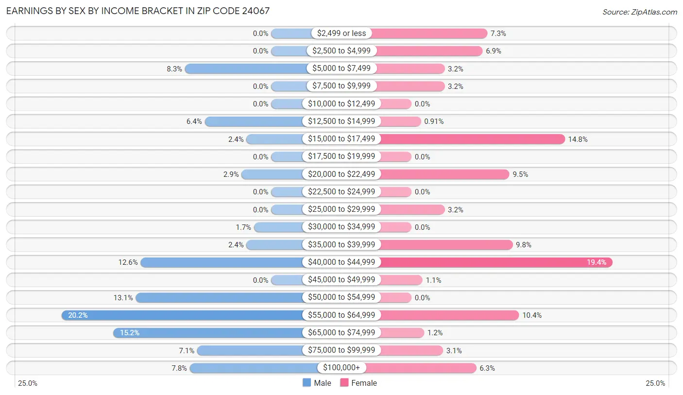 Earnings by Sex by Income Bracket in Zip Code 24067