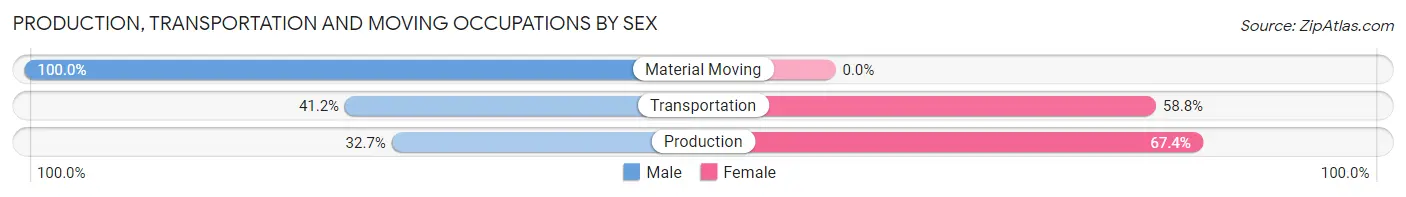 Production, Transportation and Moving Occupations by Sex in Zip Code 24067