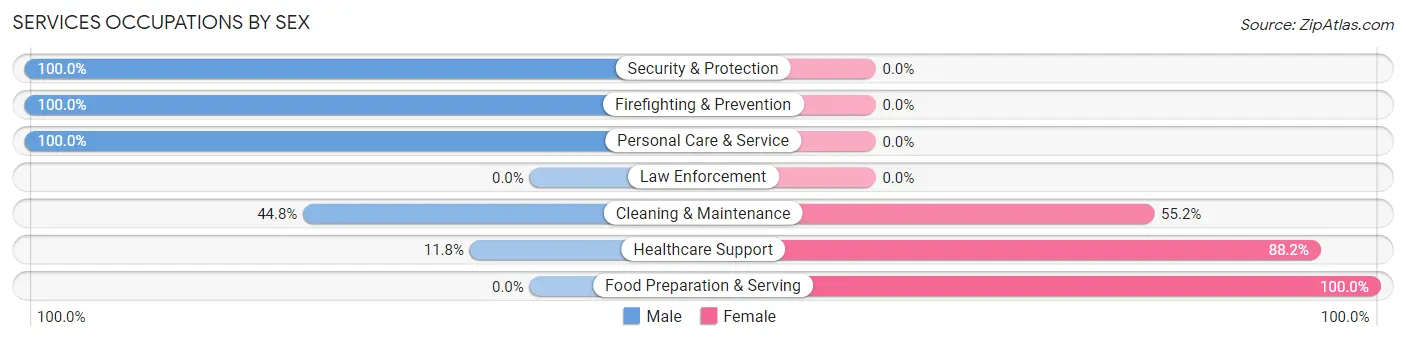 Services Occupations by Sex in Zip Code 24069