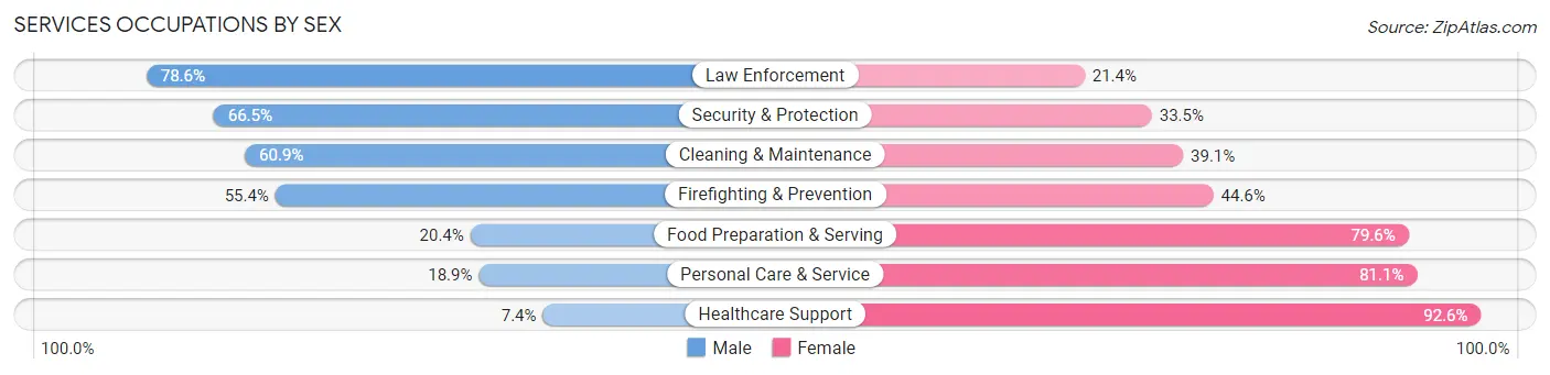 Services Occupations by Sex in Zip Code 24073