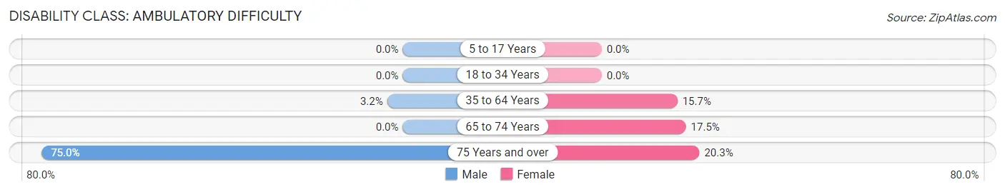 Disability in Zip Code 24077: <span>Ambulatory Difficulty</span>