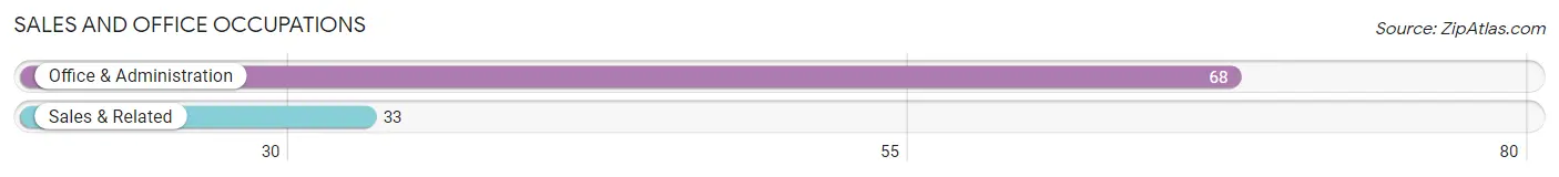 Sales and Office Occupations in Zip Code 24079
