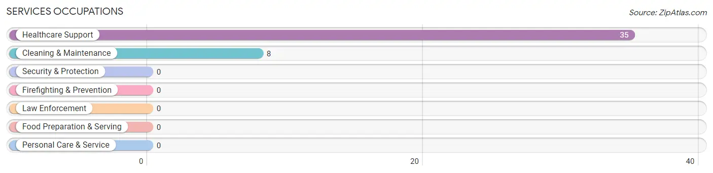 Services Occupations in Zip Code 24079