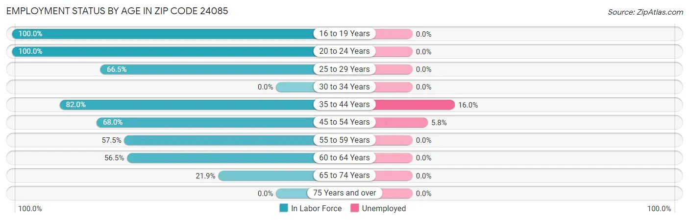 Employment Status by Age in Zip Code 24085