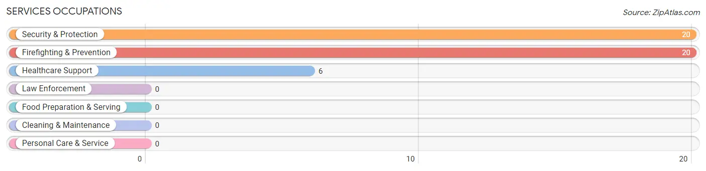 Services Occupations in Zip Code 24086