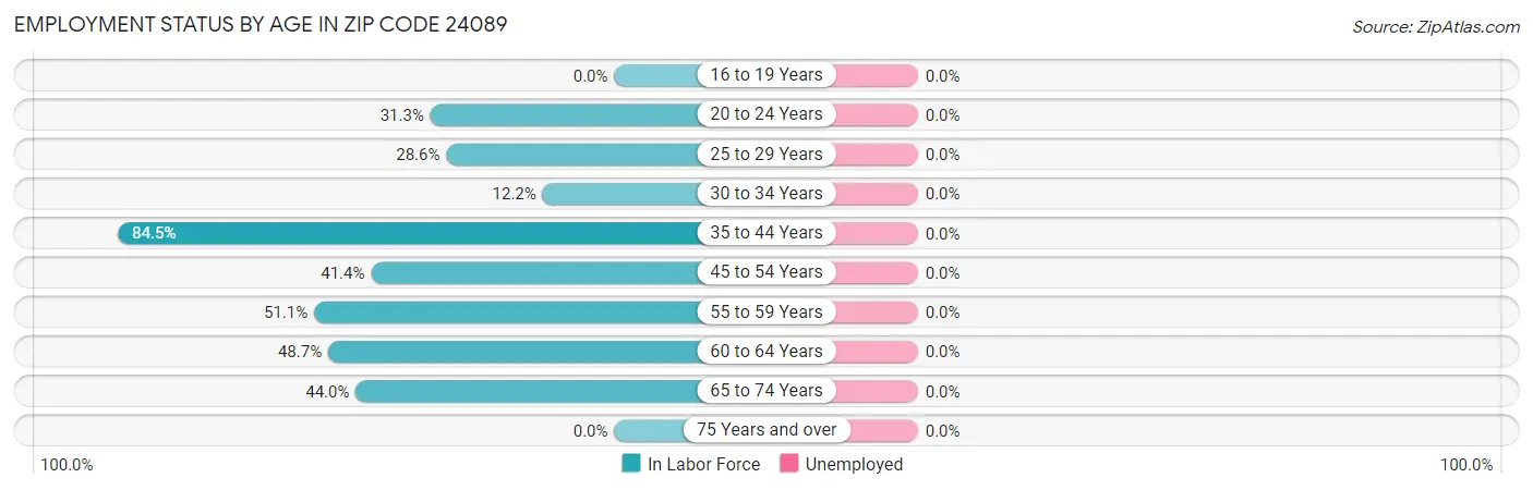 Employment Status by Age in Zip Code 24089