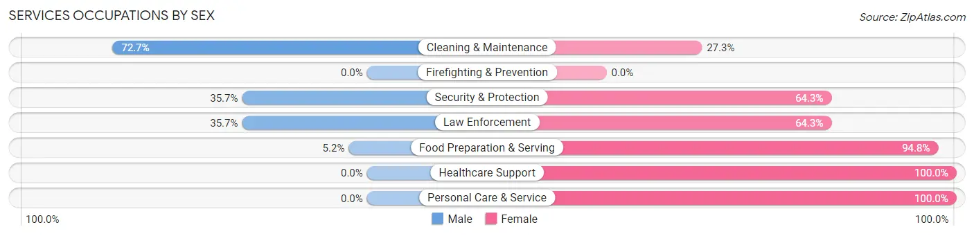 Services Occupations by Sex in Zip Code 24091