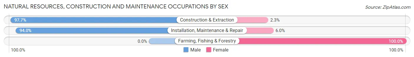 Natural Resources, Construction and Maintenance Occupations by Sex in Zip Code 24101