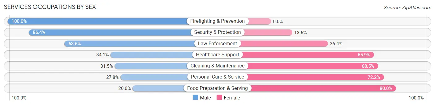 Services Occupations by Sex in Zip Code 24101