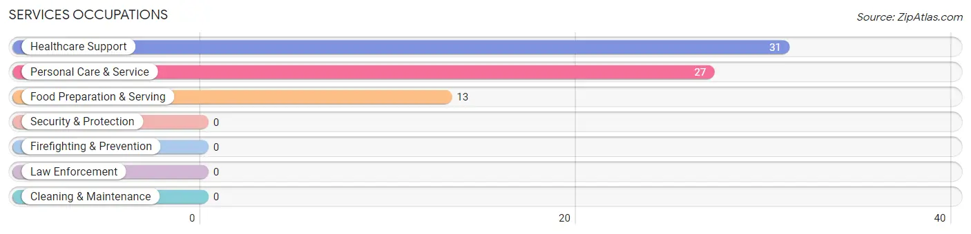 Services Occupations in Zip Code 24102