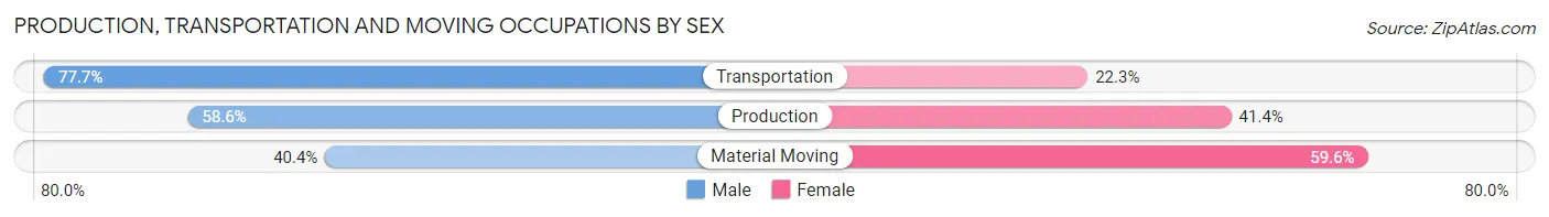 Production, Transportation and Moving Occupations by Sex in Zip Code 24112