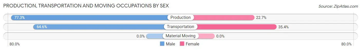 Production, Transportation and Moving Occupations by Sex in Zip Code 24120
