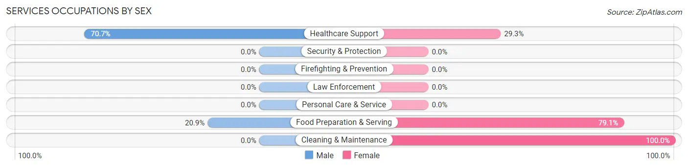 Services Occupations by Sex in Zip Code 24120