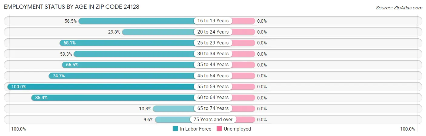 Employment Status by Age in Zip Code 24128
