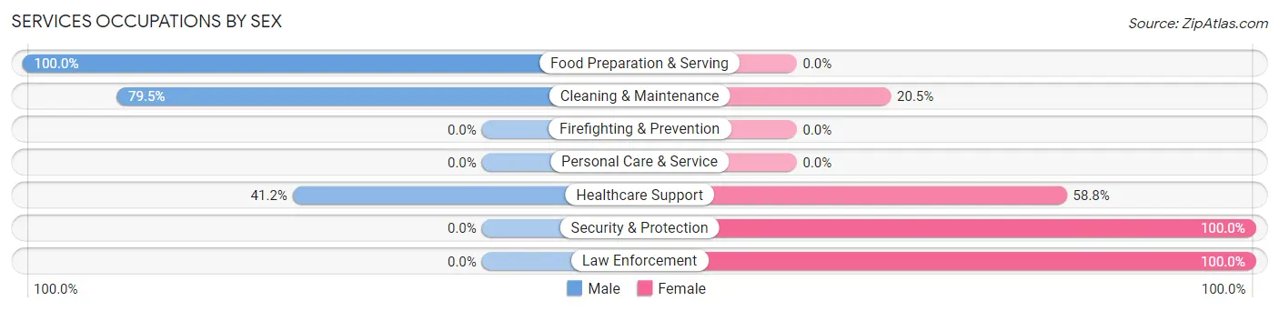 Services Occupations by Sex in Zip Code 24128