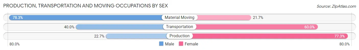 Production, Transportation and Moving Occupations by Sex in Zip Code 24137