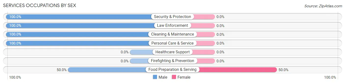 Services Occupations by Sex in Zip Code 24137