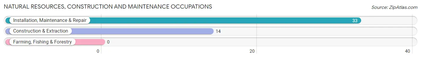 Natural Resources, Construction and Maintenance Occupations in Zip Code 24142