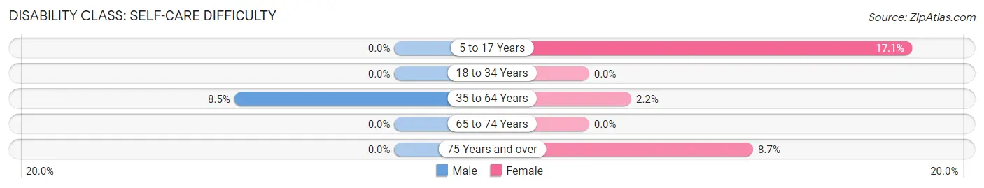 Disability in Zip Code 24149: <span>Self-Care Difficulty</span>