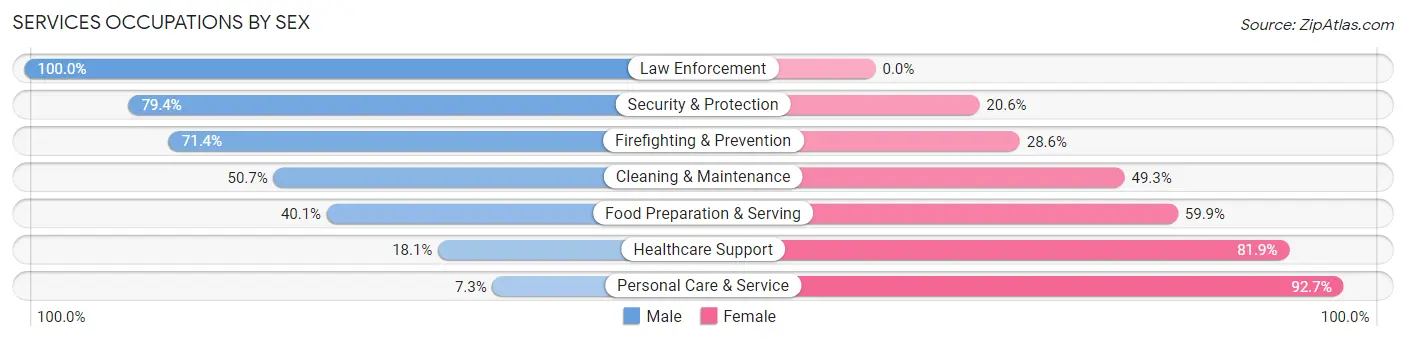Services Occupations by Sex in Zip Code 24151