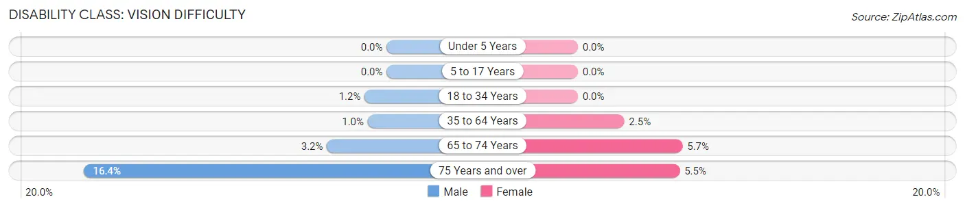 Disability in Zip Code 24151: <span>Vision Difficulty</span>