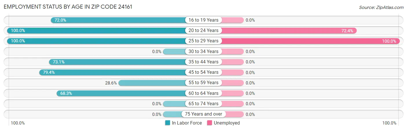 Employment Status by Age in Zip Code 24161