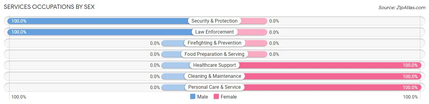 Services Occupations by Sex in Zip Code 24165