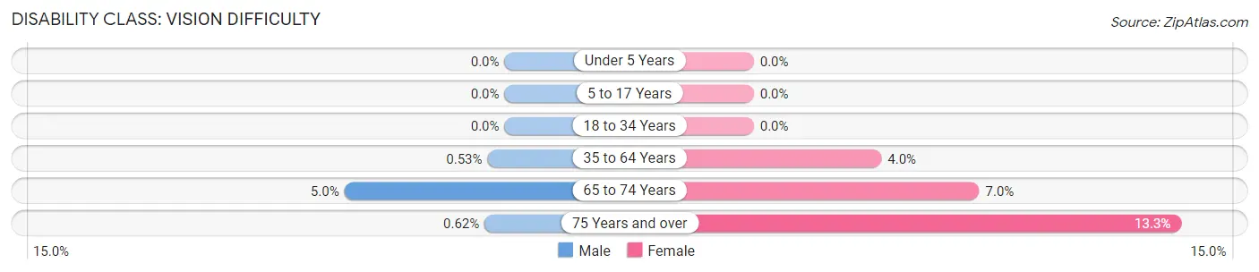 Disability in Zip Code 24175: <span>Vision Difficulty</span>