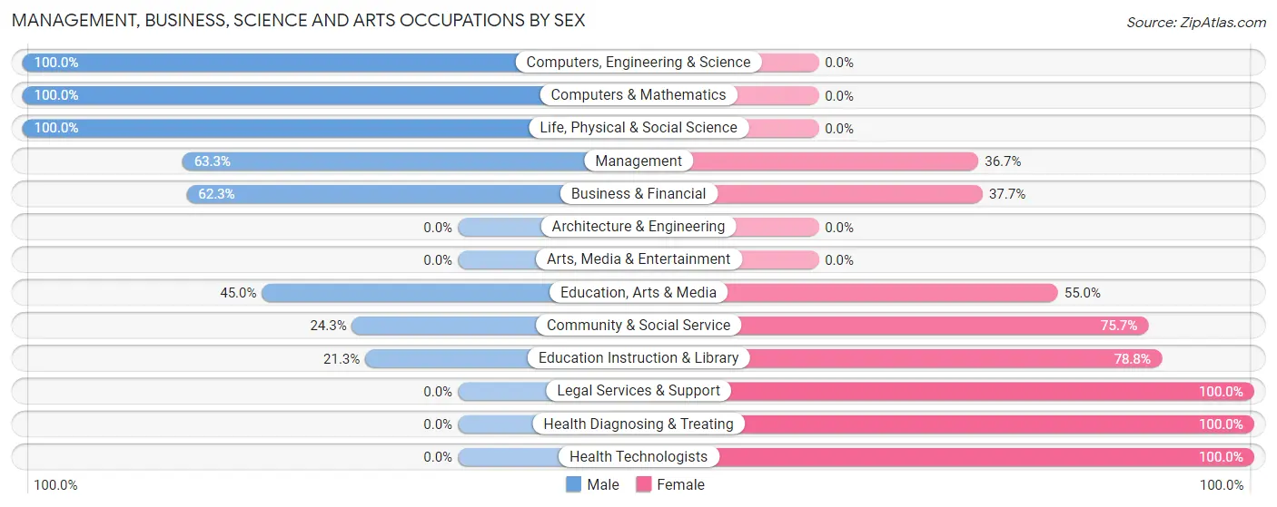 Management, Business, Science and Arts Occupations by Sex in Zip Code 24184
