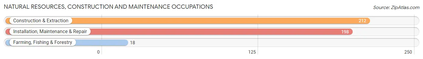 Natural Resources, Construction and Maintenance Occupations in Zip Code 24201