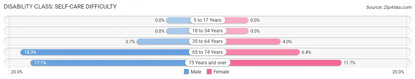 Disability in Zip Code 24201: <span>Self-Care Difficulty</span>