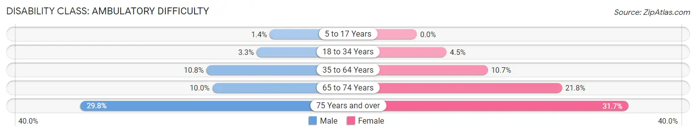 Disability in Zip Code 24202: <span>Ambulatory Difficulty</span>