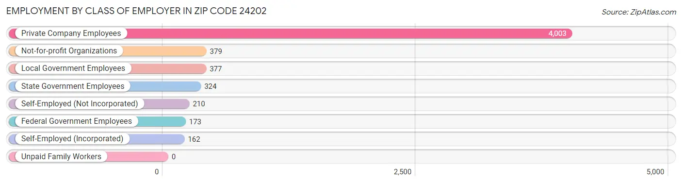 Employment by Class of Employer in Zip Code 24202