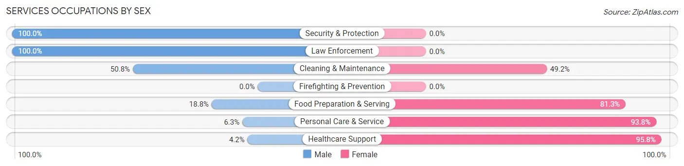 Services Occupations by Sex in Zip Code 24216