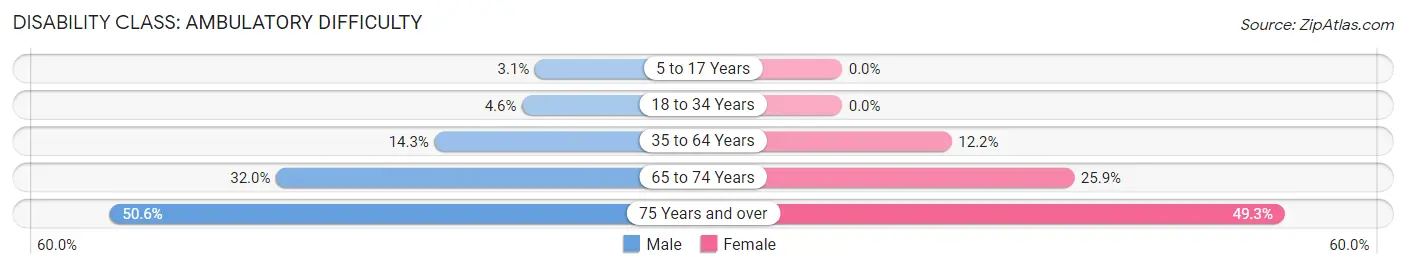 Disability in Zip Code 24219: <span>Ambulatory Difficulty</span>