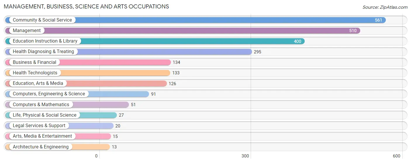 Management, Business, Science and Arts Occupations in Zip Code 24219